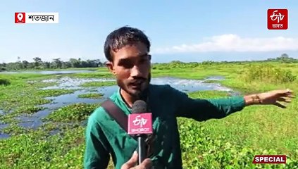 চৰাইৰ বংশবৃদ্ধিৰ বৃহৎ প্ৰসূতিগৃহৰ সৌন্দৰ্যই পৰ্যটকক মাতিছে হাত বাউলি