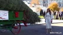 Melania Trump accoglie alla Casa Bianca l’imponente albero di Natale 2025