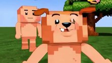 Funny moment video