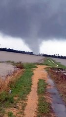 ระทึก ! พายุงวงช้างถล่มระโนด จ.สงขลา มีบ้านพังนับสิบหลัง