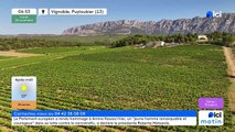 25/11/2025 - ici matin par ici Provence en vidéo