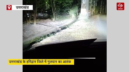 हरिद्वार के रिहायशी इलाके में दिखा गुलदार, लोगों में दहश्त, वन विभाग ने अलर्ट रहने को कहा
