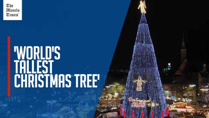 'World's tallest Christmas tree' lights up Dortmund to mark start of festive season