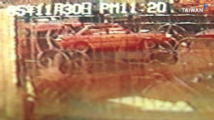 Remembering Peng Wan-ru: DPP Reflects on Women's Affairs Director's Murder