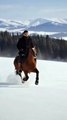 Snow Horse Riding Adventure