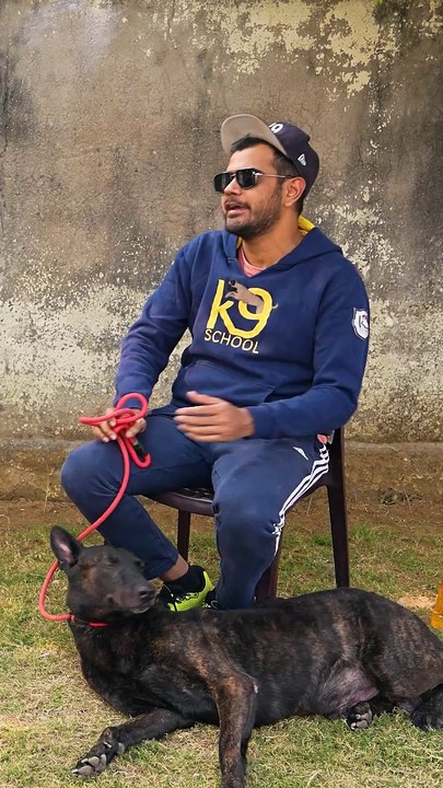Family Security Dogs