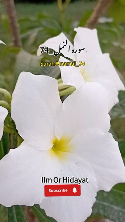 Allah Knows What We Hide in Our Hearts 💖 | Powerful Quran ReminderA beautiful Quranic reminder that Allah knows everything we hide in our hearts and everything we reveal. Nothing is beyond His knowledge, and His awareness brings comfort, guidance