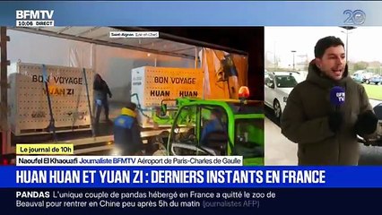 L’unique couple de pandas géants hébergé en France a quitté tôt ce matin le zoo de Beauval, sous le regard de quelques fans, afin de regagner plus tôt que prévu leur Chine natale pour raisons médicales - VIDEO