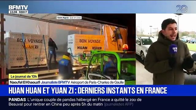 L’unique couple de pandas géants hébergé en France a quitté tôt ce matin le zoo de Beauval, sous le regard de quelques fans, afin de regagner plus tôt que prévu leur Chine natale pour raisons médicales - VIDEO