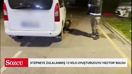 Stepneye zulalanmış 12 kilo uyuşturucuyu 'Hector' buldu