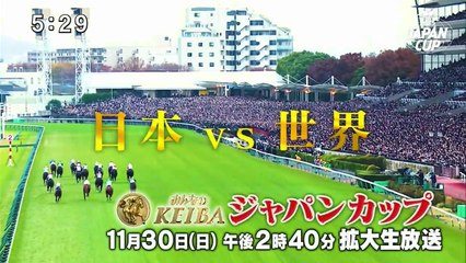 サン！シャイン 2025年日11月25日