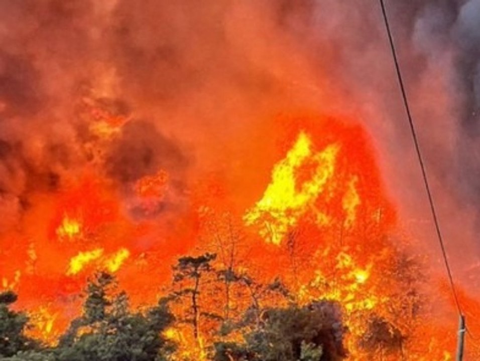 Feuer bedroht 50 Millionen Jahre altes UNESCO-Weltkulturerbe