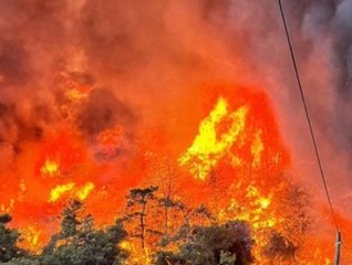 Feuer bedroht 50 Millionen Jahre altes UNESCO-Weltkulturerbe