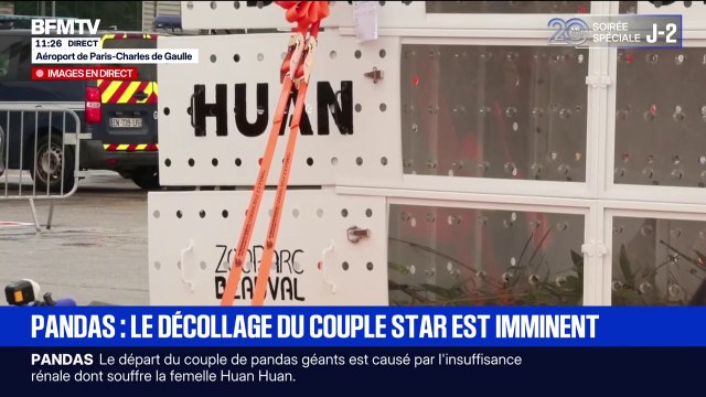 Départ des pandas du zoo de Beauval vers la Chine: le directeur du parc pointe un couple emblématique