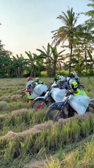 Ada yang mau jadi tukang ojeg gabah ngga