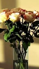 How I Faked Blindness, Exposed My Husband's Affair - Full Episodes