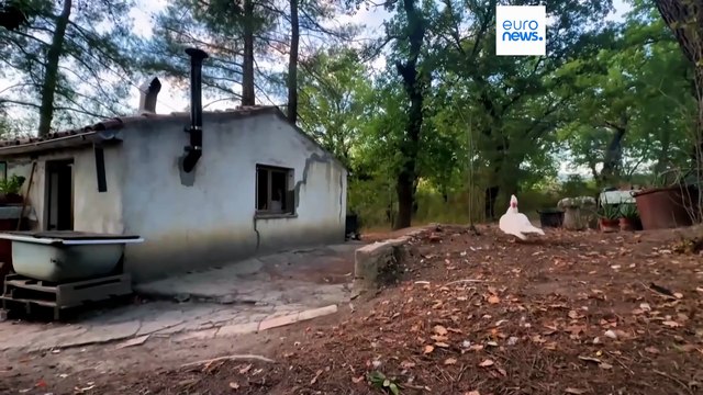 Italie : le ministère de la Justice enquête sur les enfants retirés à la famille dans les bois