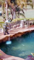 [ENG SUB]One Night, Two Babies- From One-Night Fling to Billionaire's Love #shortdrama #billionaire