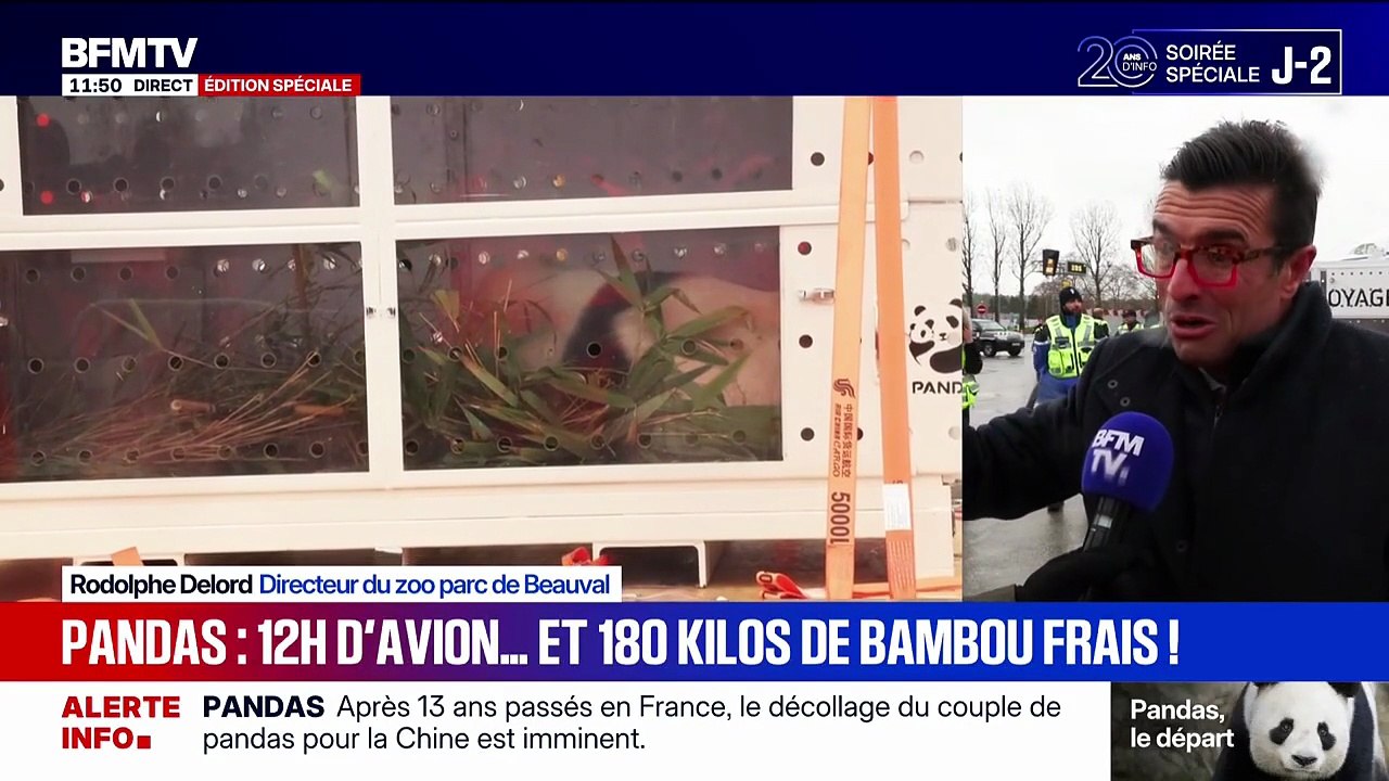 Départ de pandas du zoo de Beauval vers la Chine: "Une page se tourne", explique le directeur du zoo