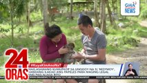 Unggoy na nasagip sa gubat, ginawang alaga ng mag-asawa; naging malapit sa kanilang mga aso | 24 Oras