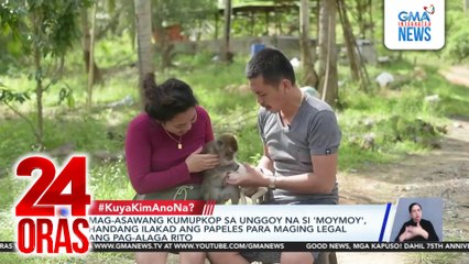 Unggoy na nasagip sa gubat, ginawang alaga ng mag-asawa; naging malapit sa kanilang mga aso | 24 Oras