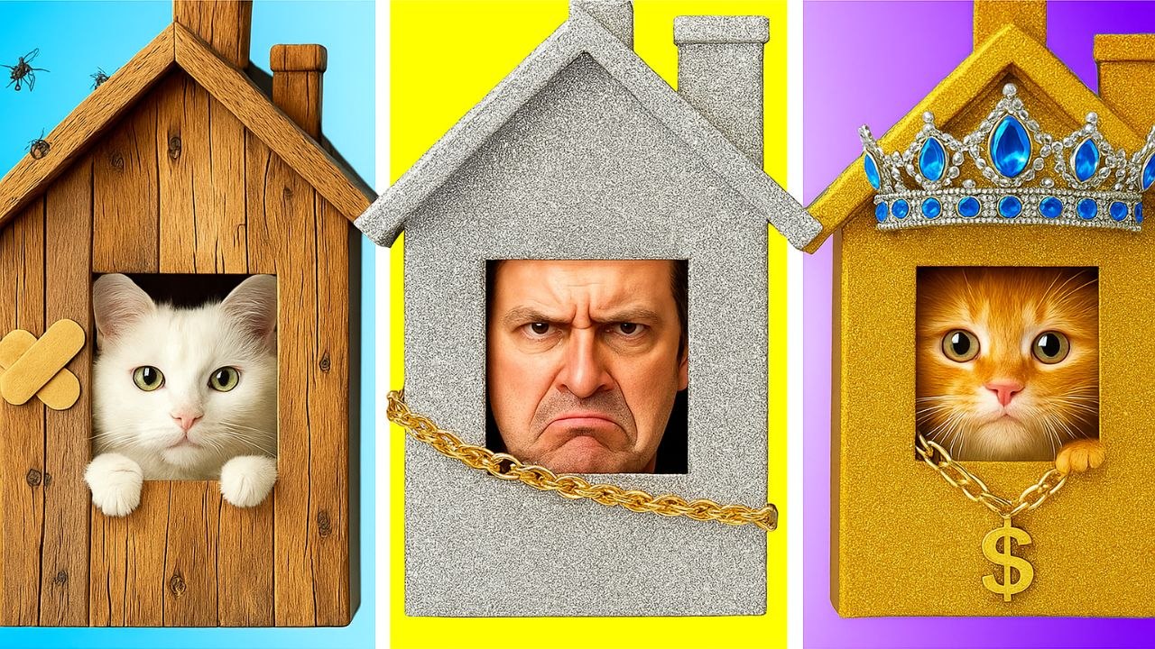 Pauvre chat contre papa en colère 😭 J'ai sauvé un chat errant mais c'était un prince maudit