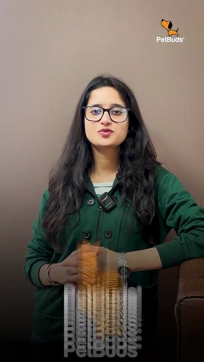 Black Friday just got better — for you and your pets! 🐾