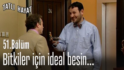 Bitkiler için ideal besin...-Tatlı Hayat 51. Bölüm