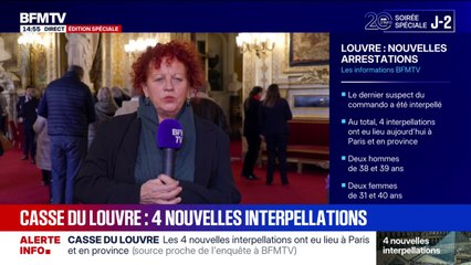 Casse du Louvre: Monique De Marco, sénatrice écologiste, parle d'un cambriolage "facile" commis par des "amateurs"
