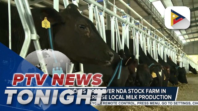 NDA launches first-ever NDA stock farm in Nueva Ecija to increase local milk production