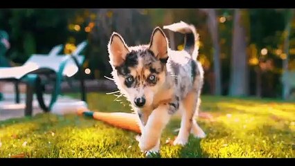 Tana Mongeau Breaks Silence On Cheating Boyfriend & Jake Paul