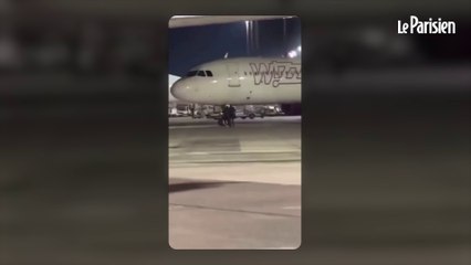 En retard pour leur vol, deux Roumains brisent une vitre et courent sur le tarmac