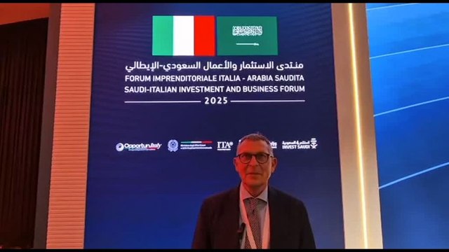 Italia-Arabia Saudita, Ventura (Oice): sostenere imprese