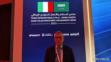 Italia-Arabia Saudita, Ventura (Oice): sostenere imprese