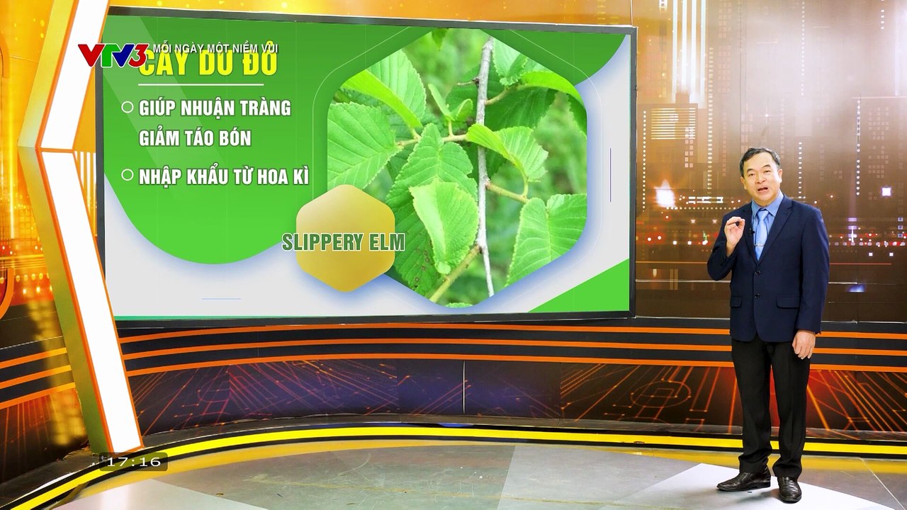 Mỗi Ngày Một Niềm Vui - VTV3 - 24/11/2025