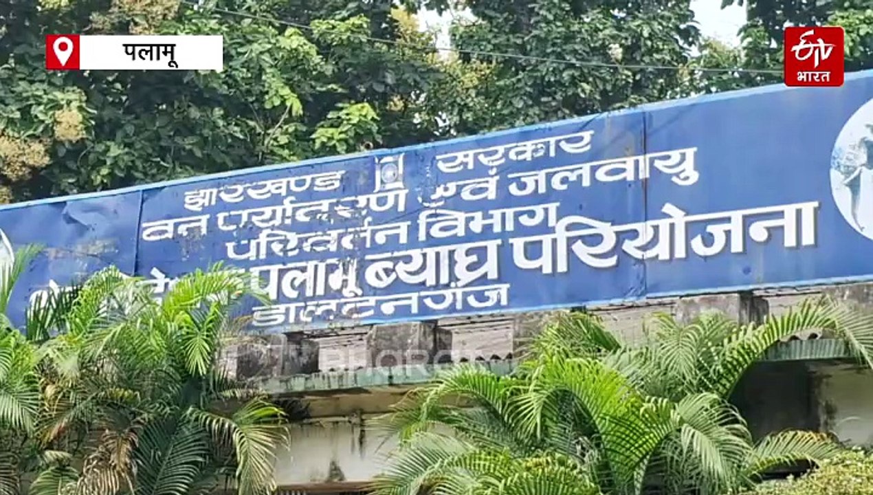 वन्यजीवों के शिकार का कितना बड़ा है नेटवर्क? शिकार में होता है देसी जुगाड़ और आधुनिक तकनीक का इस्तेमाल