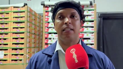 “Não foi uma perda, foi uma movimentação”, diz representante comercial da Grand Vale sobre tarifaço dos EUA