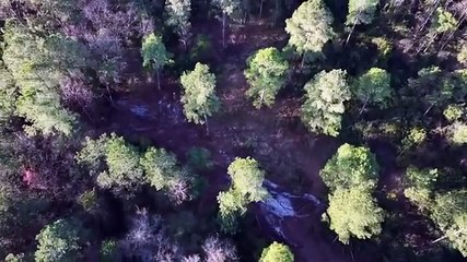 Renovation Hunters Season 3 Episode 2