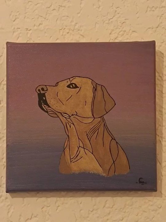 Quand un cadre s'anime