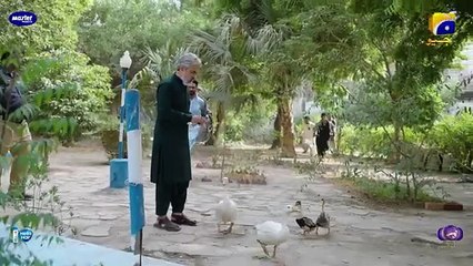 Sanwal Yaar Piya Episode 22 - 26th November 2025 ​