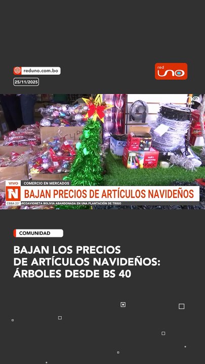 Bajan los precios de artículos navideños: árboles desde Bs 40