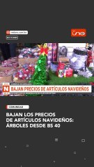 Bajan los precios de artículos navideños: árboles desde Bs 40