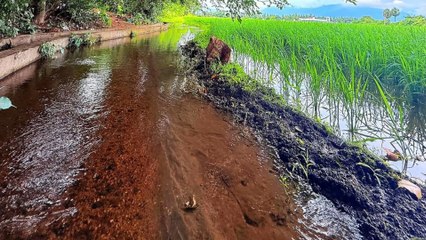 Beautiful nature views with music l Nature videos