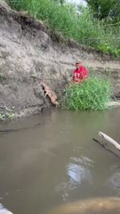 A Baby Deer Trapped in a River | Heartwarming Wildlife Rescue