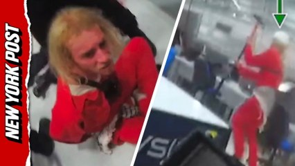 Newly released bodycam shows Pro-Palestinian activist attack police with hammer