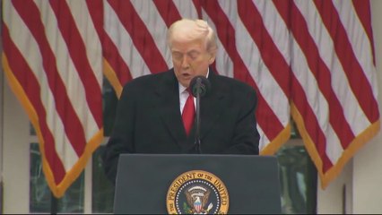 Trump Roasts Pelosi and Schumer During Turkey Pardon Speech