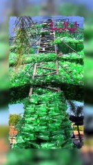 "أرز الأمل" في لبنان.. أكبر شجرة أرز بلاستيكية في العالم