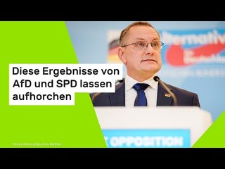 Diese Ergebnisse von AfD und SPD lassen aufhorchen