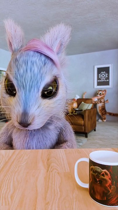 Best Funny Animals