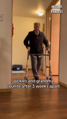 Cette grand-mère retrouve son chat après 3 semaines sans l’avoir vu